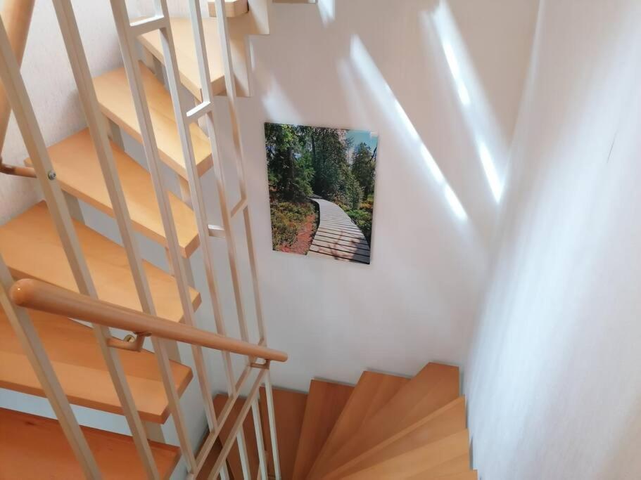 Ferienhaus Hoher Weg - Urlaub, Wandern, Downhill Und Workation Am Nationalpark Harz Sankt Andreasberg Exterior photo